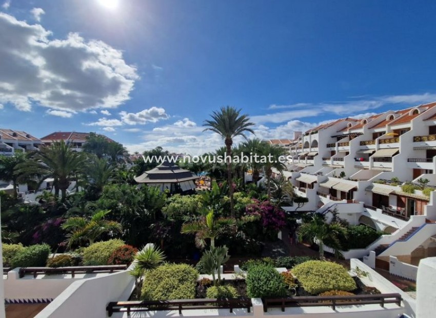 Resale - Apartment - Playa De Las Americas - Parque Santiago III Las Americas Tenerife