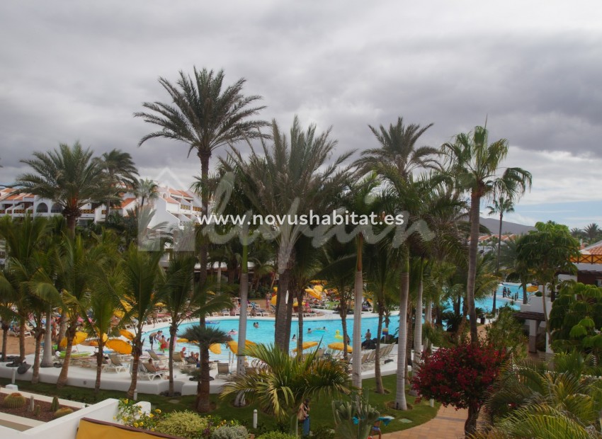 Resale - Apartment - Playa De Las Americas - Parque Santiago III Las Americas Tenerife