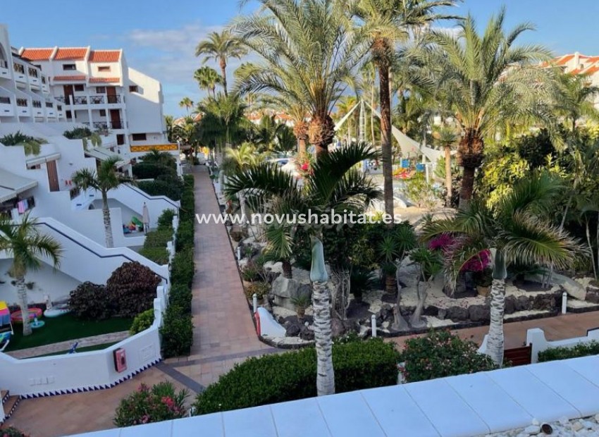 Resale - Apartment - Playa De Las Americas - Parque Santiago III Las Americas Tenerife