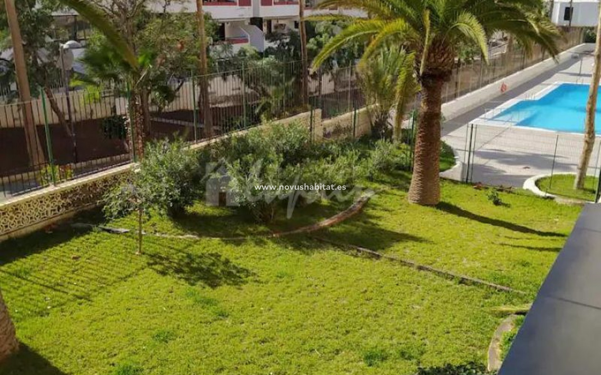 Resale - Apartment - Playa De Las Americas - Playa Honda Las Americas Tenerife