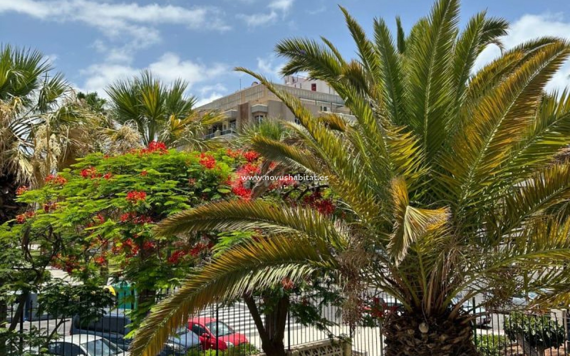 Resale - Apartment - Playa De Las Americas - Playa Honda Playa de Las Americas Tenerife