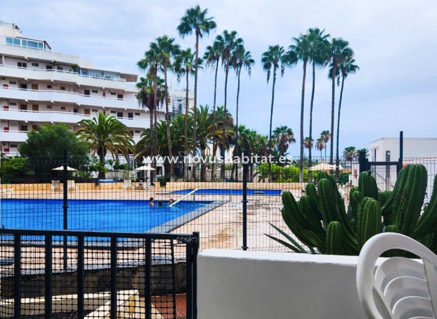 Resale - Apartment - Playa De Las Americas - Vina Del Mar Playa De Las Americas Tenerife