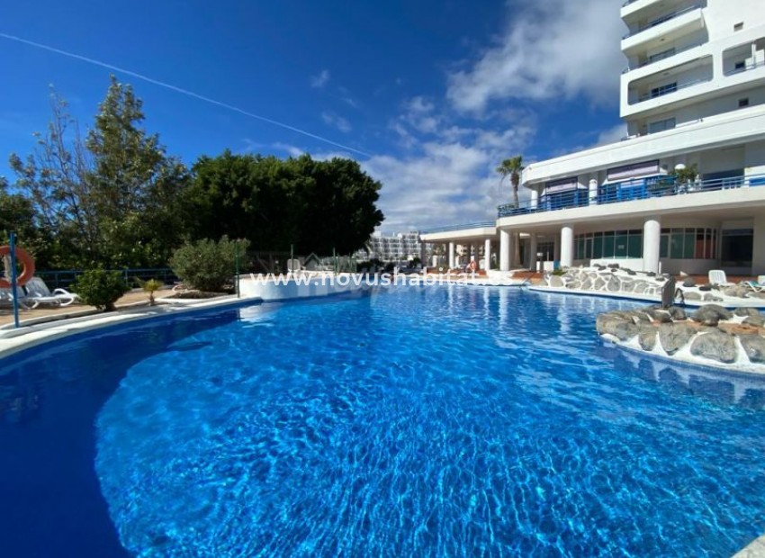 Resale - Apartment - Playa Paraiso - Paraiso Del Sur Playa Paraiso