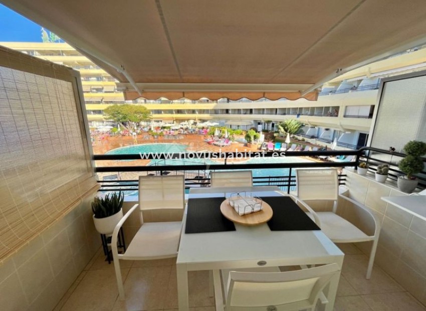 Resale - Apartment - San Eugenio - Santa Maria San Eugenio Tenerife