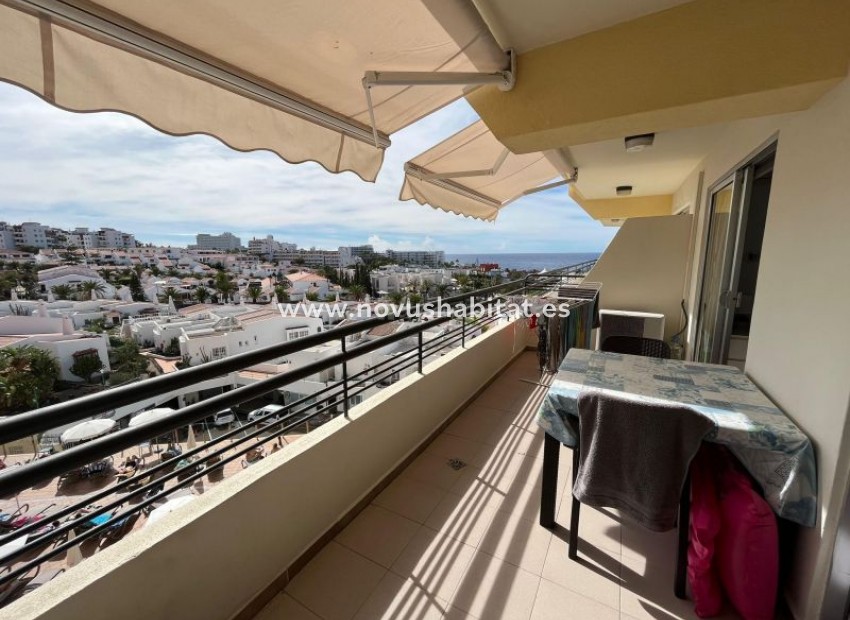 Resale - Apartment - San Eugenio - Santa Maria San Eugenio Tenerife