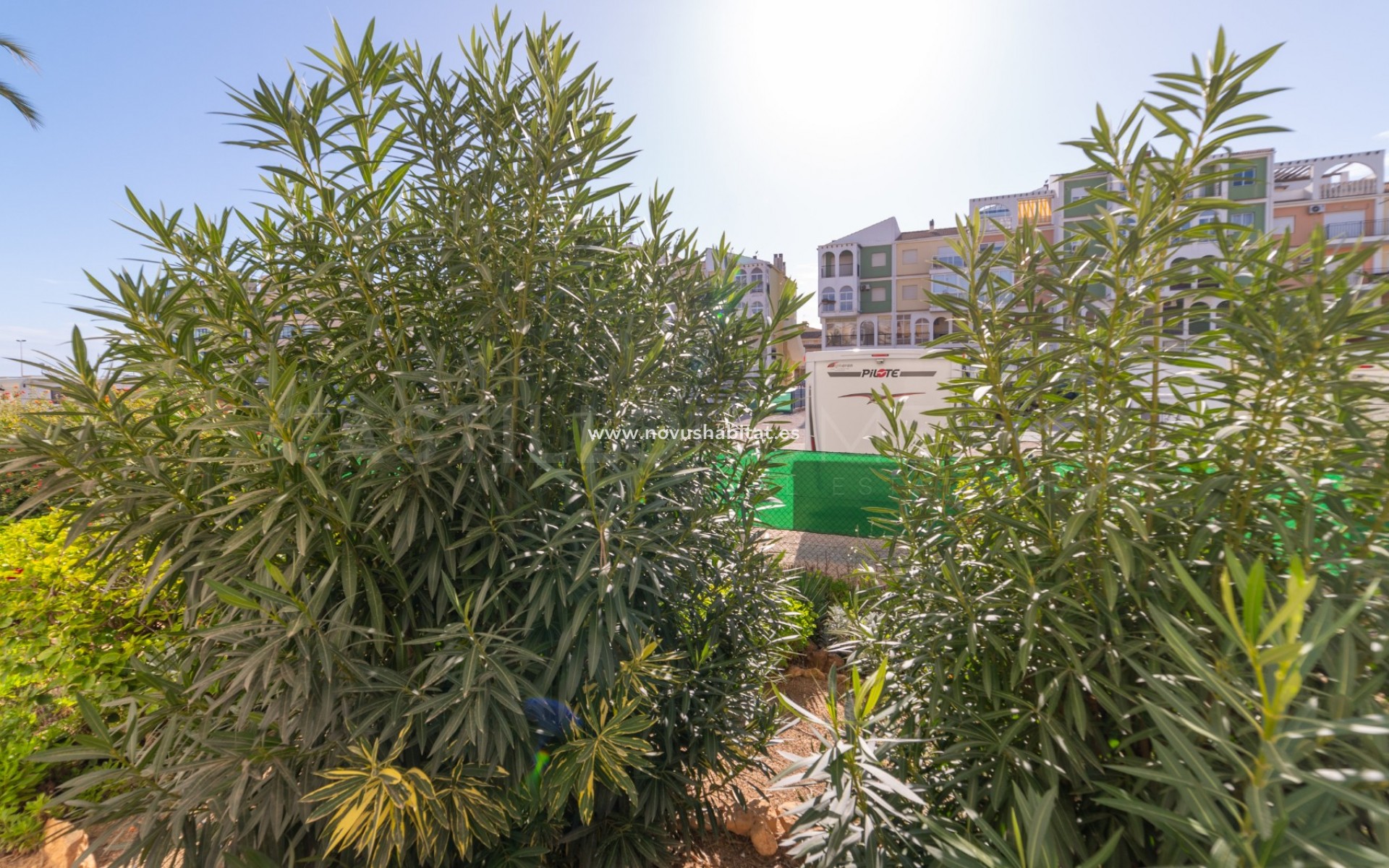 Resale - Apartment - Torrevieja - La Veleta