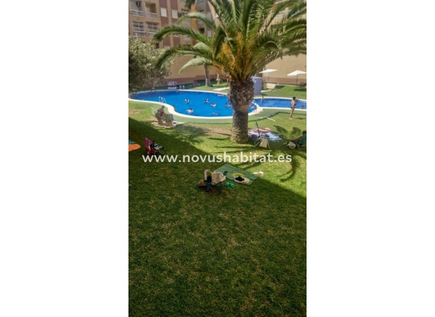 Resale - Apartment - Torrevieja - Parque de las Naciones