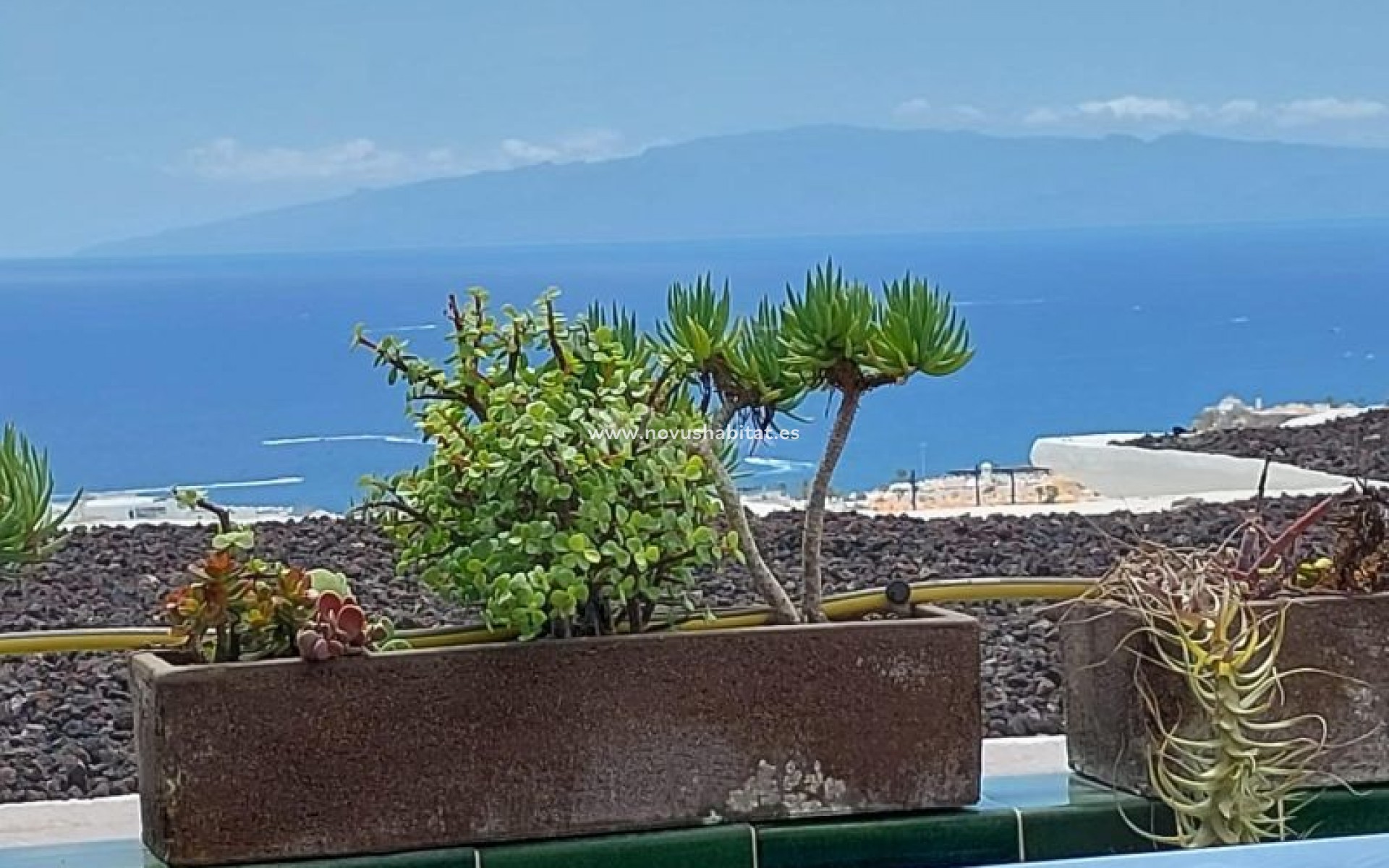 Resale - Apartment - Torviscas - Las Mimosas Torviscas Tenerife
