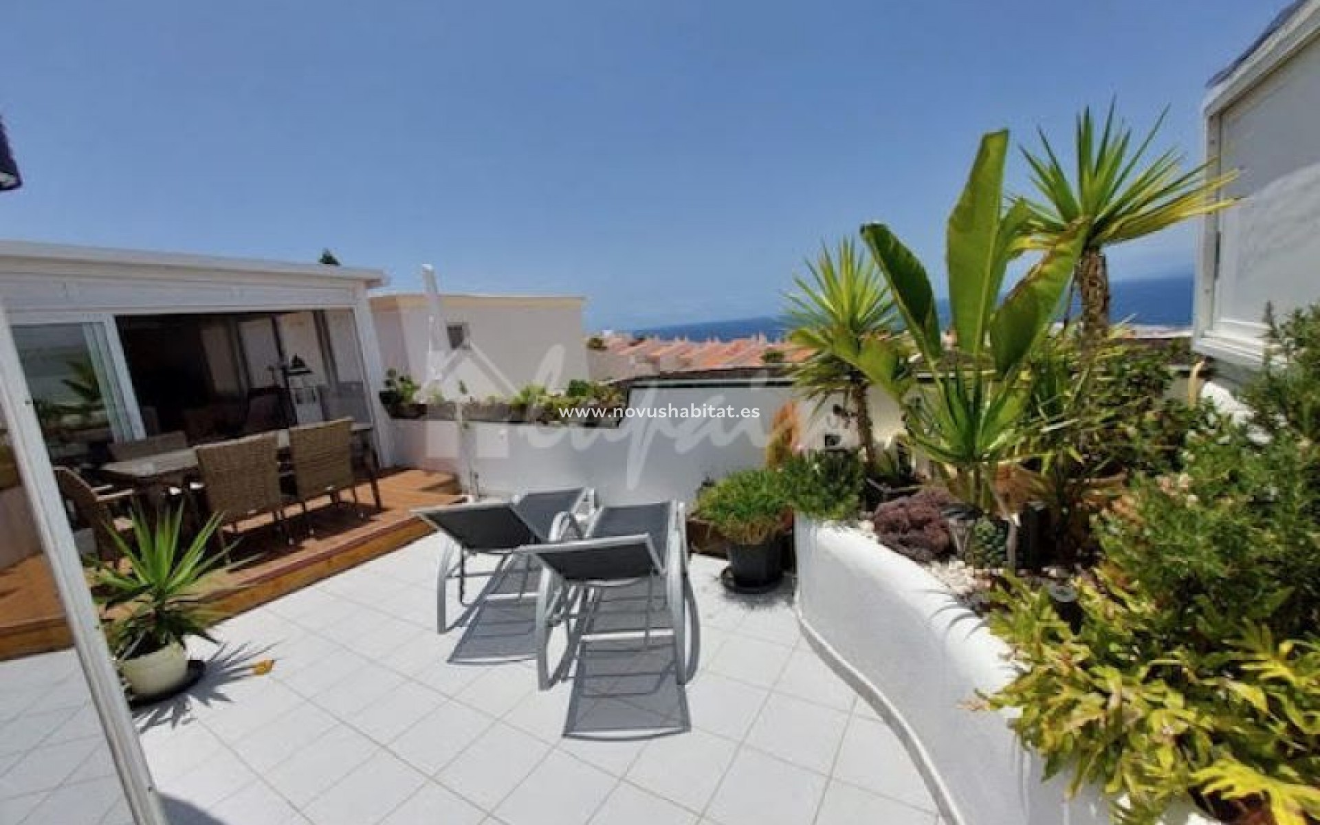 Resale - Apartment - Torviscas - Las Mimosas Torviscas Tenerife