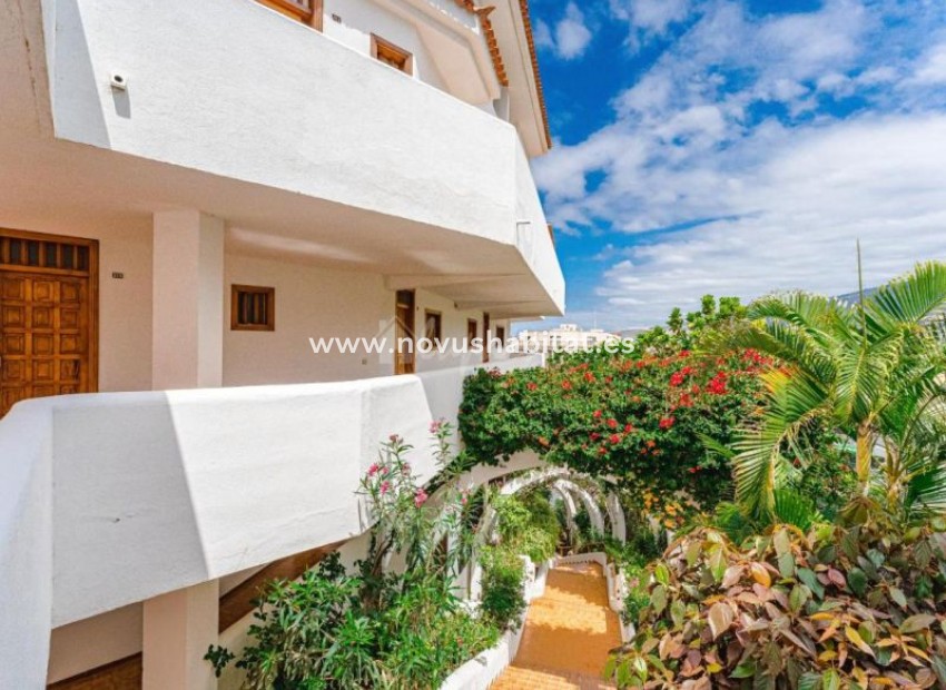 Resale - Apartment - Torviscas - Parque Royal Torviscas Tenerife