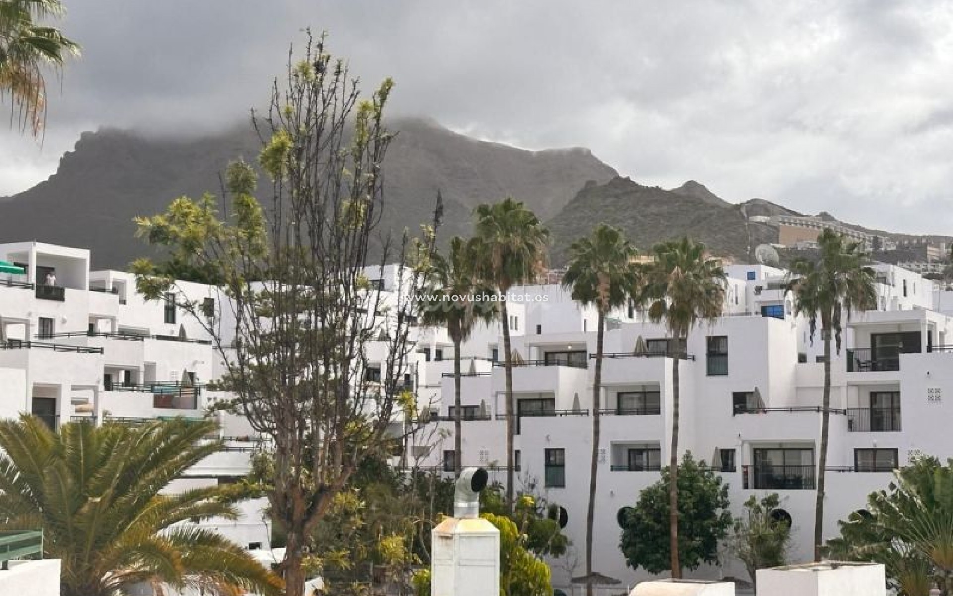 Resale - Apartment - Torviscas - Sunset Bay Torviscas Tenerife