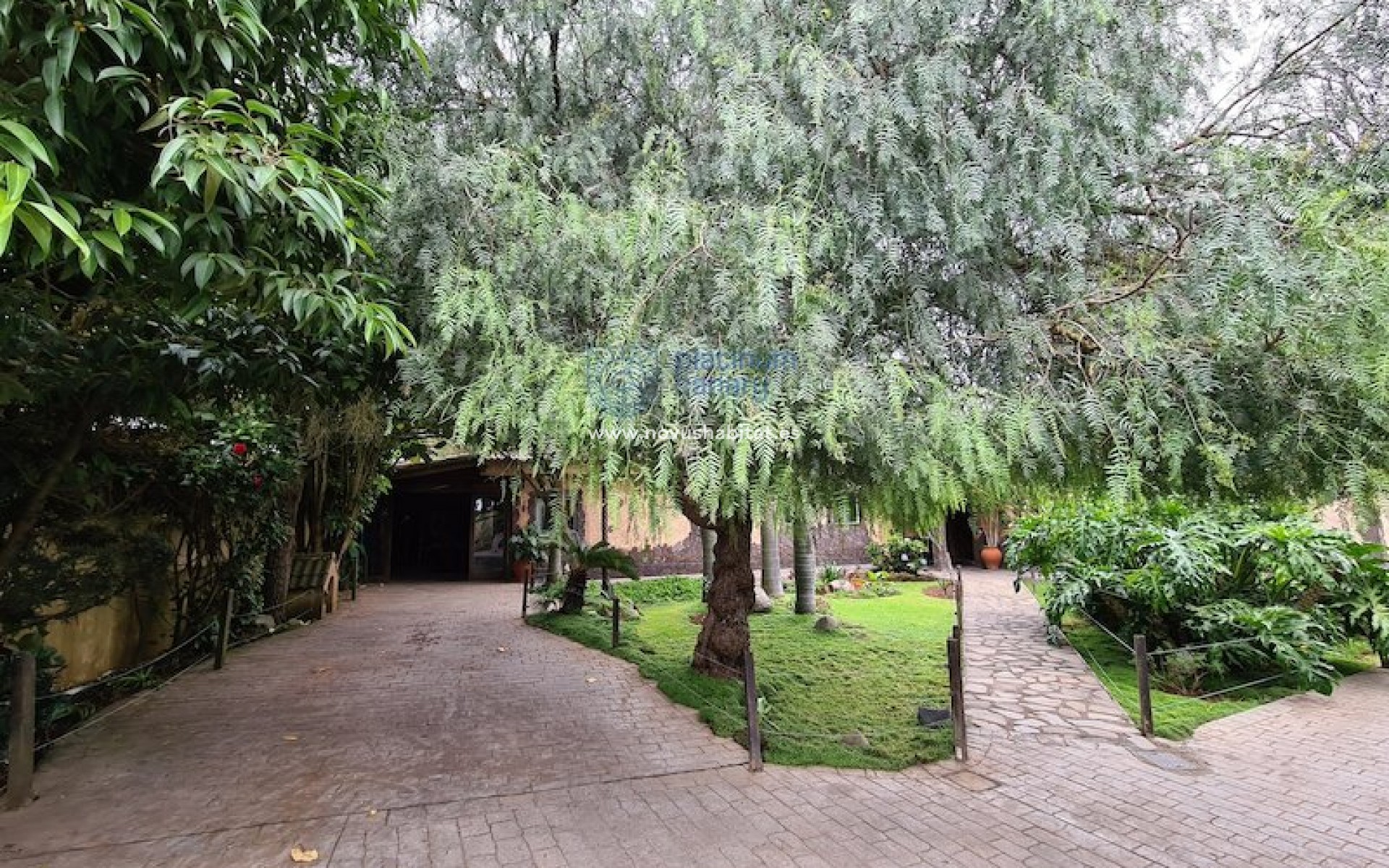 Resale - house - La Esperanza - Santa Cruz Tenerife