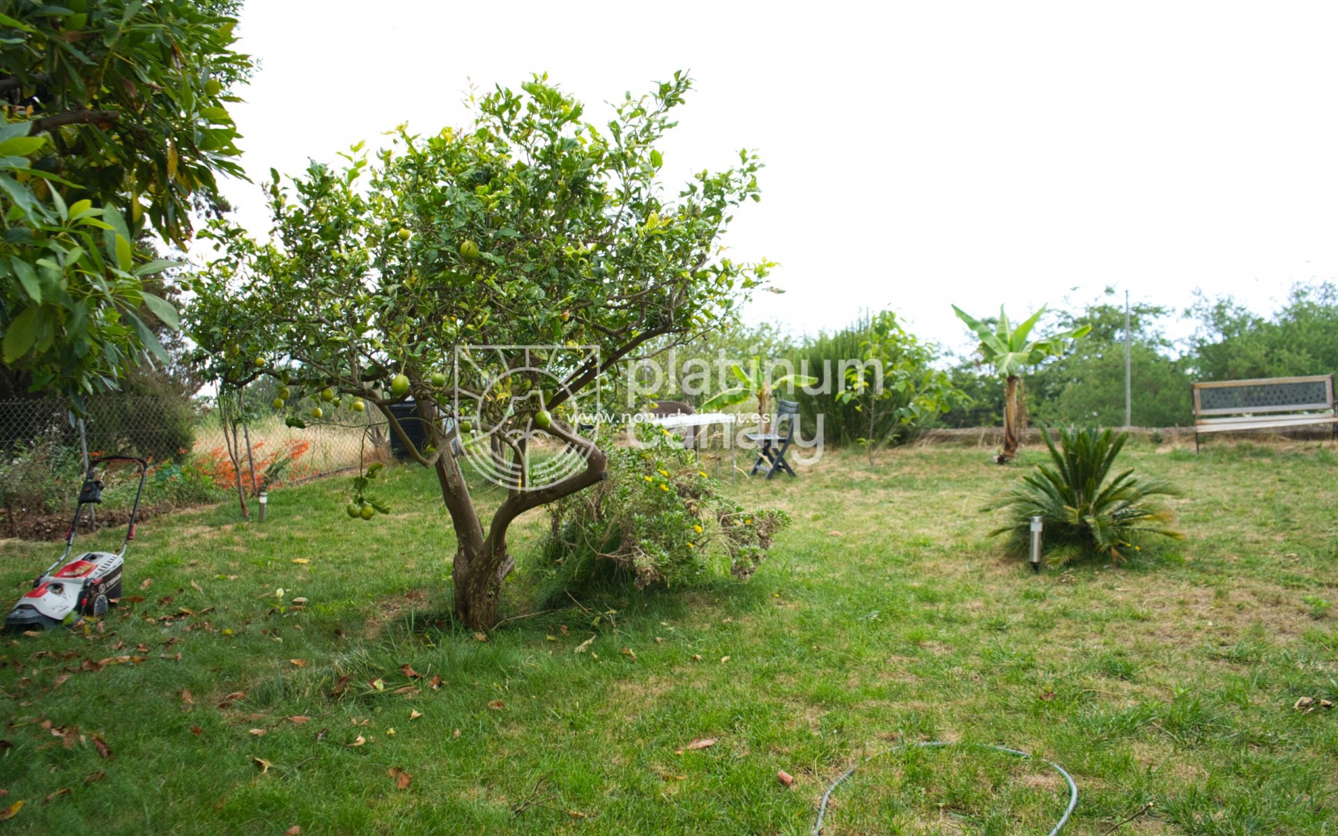 Resale - house - La Orotava - Santa Cruz de Tenerife