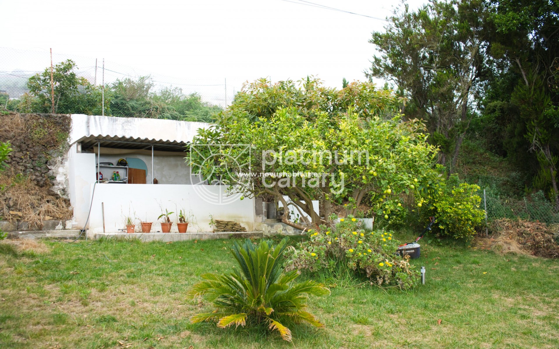 Resale - house - La Orotava - Santa Cruz Tenerife
