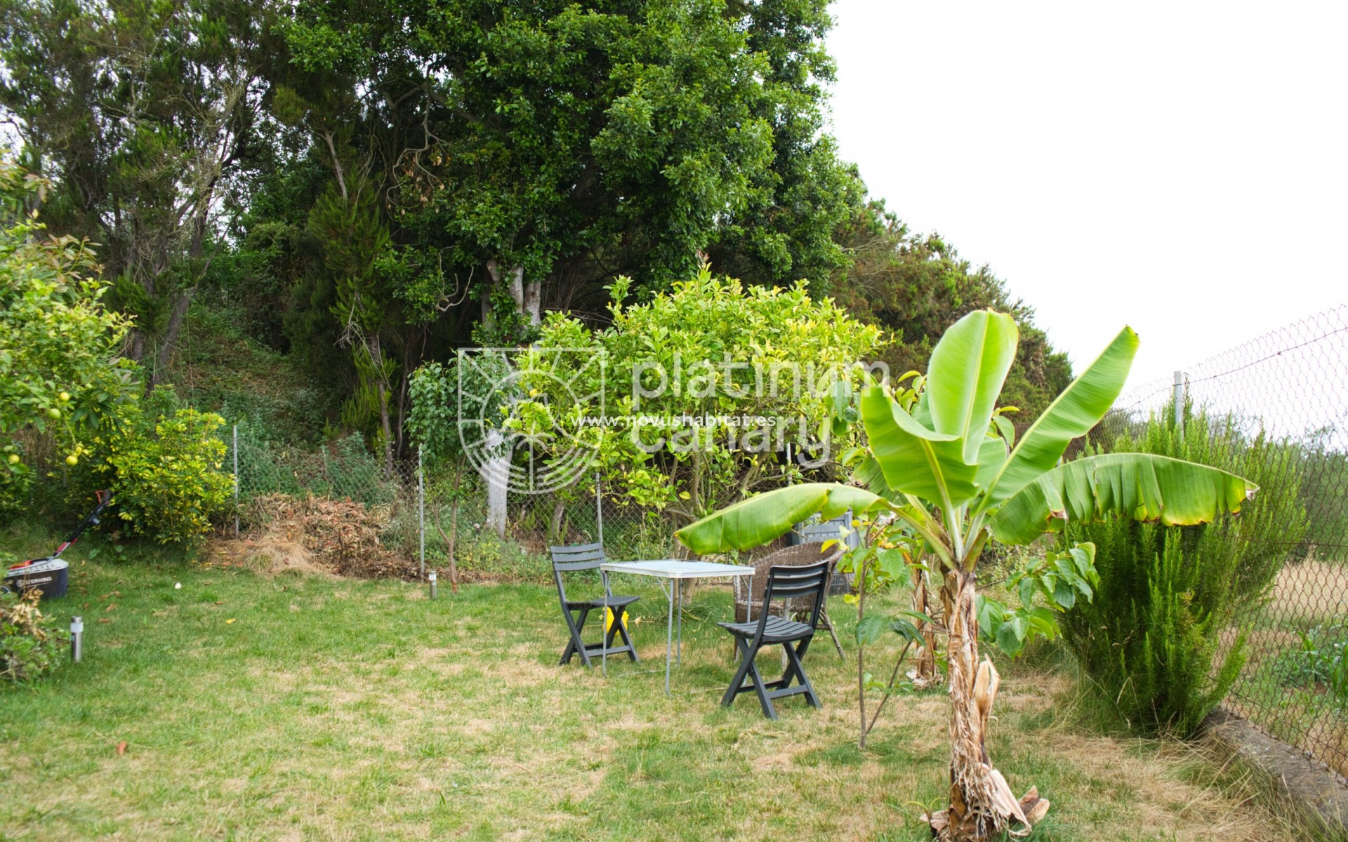 Resale - house - La Orotava - Santa Cruz Tenerife