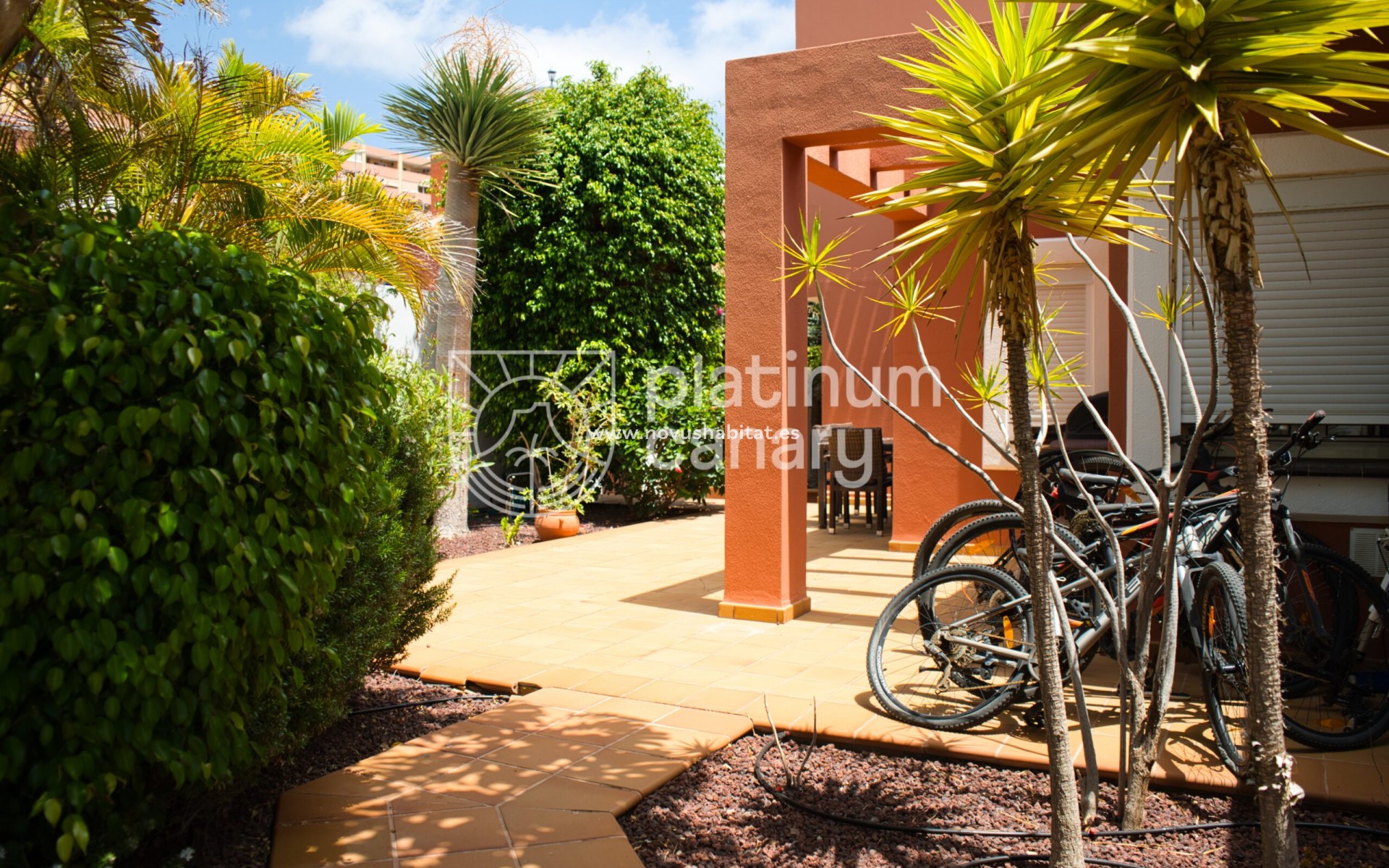 Resale - house - Roque Del Conde - Santa Cruz Tenerife