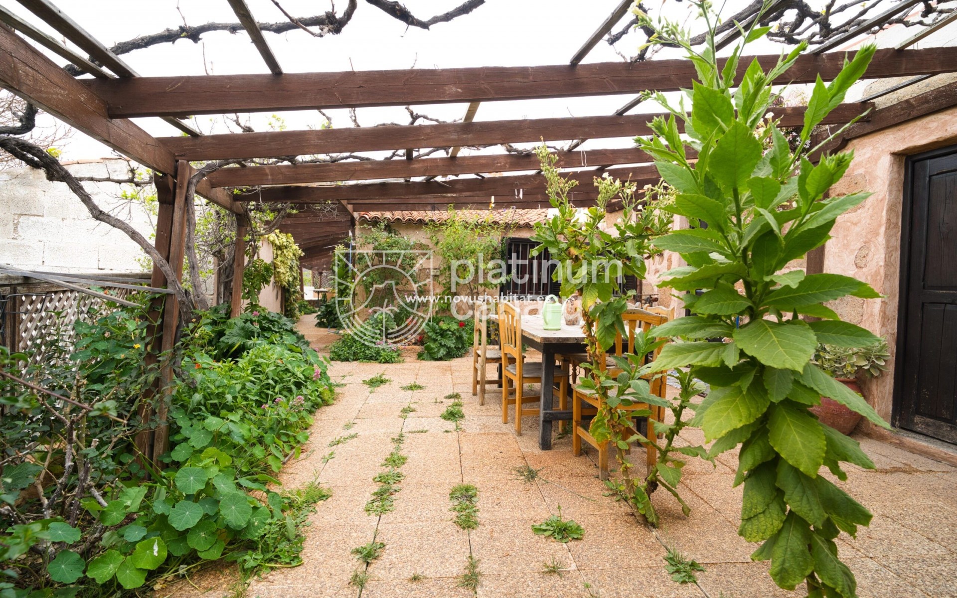 Resale - house - Vilaflor - Santa Cruz Tenerife