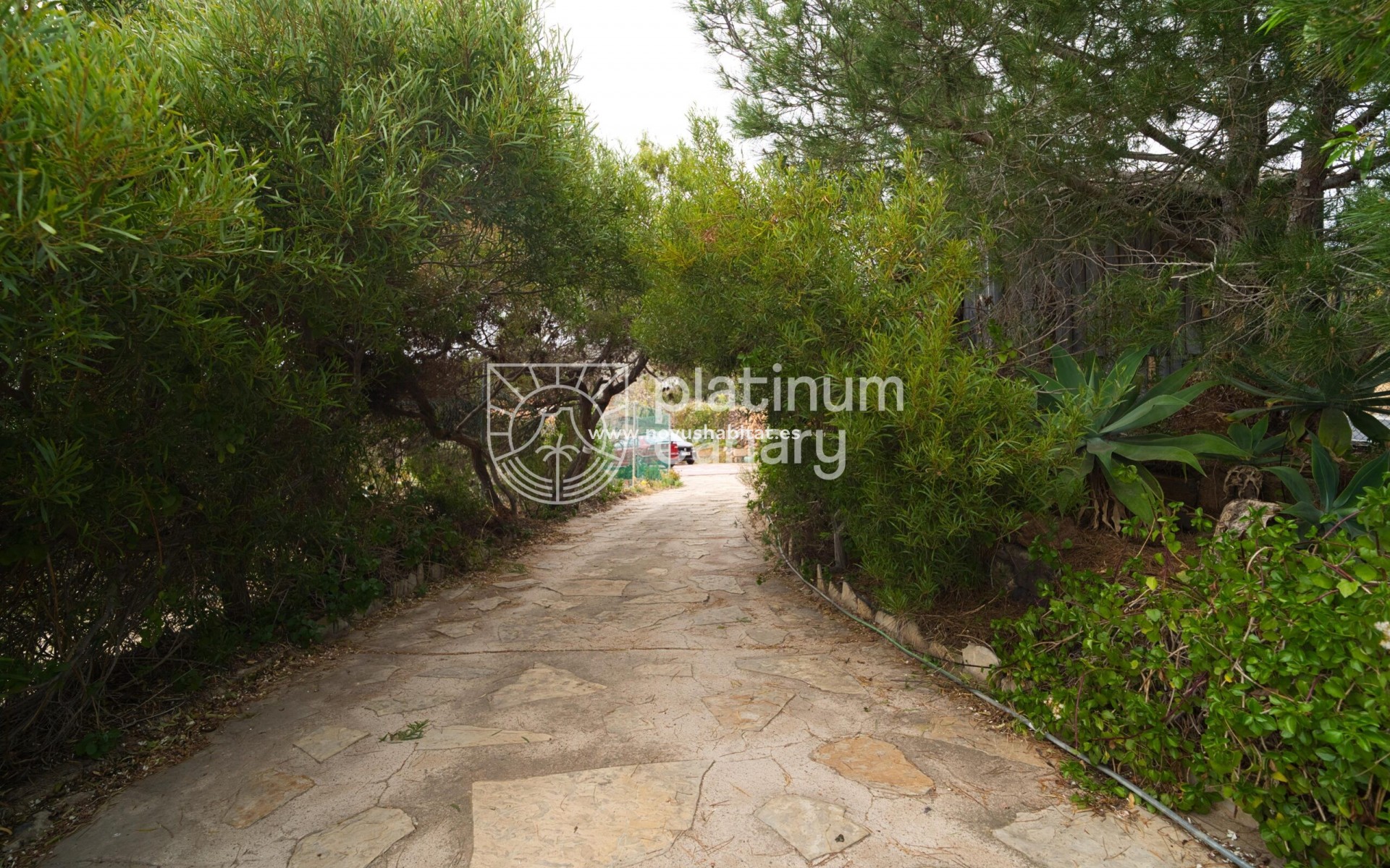 Resale - house - Vilaflor - Santa Cruz Tenerife