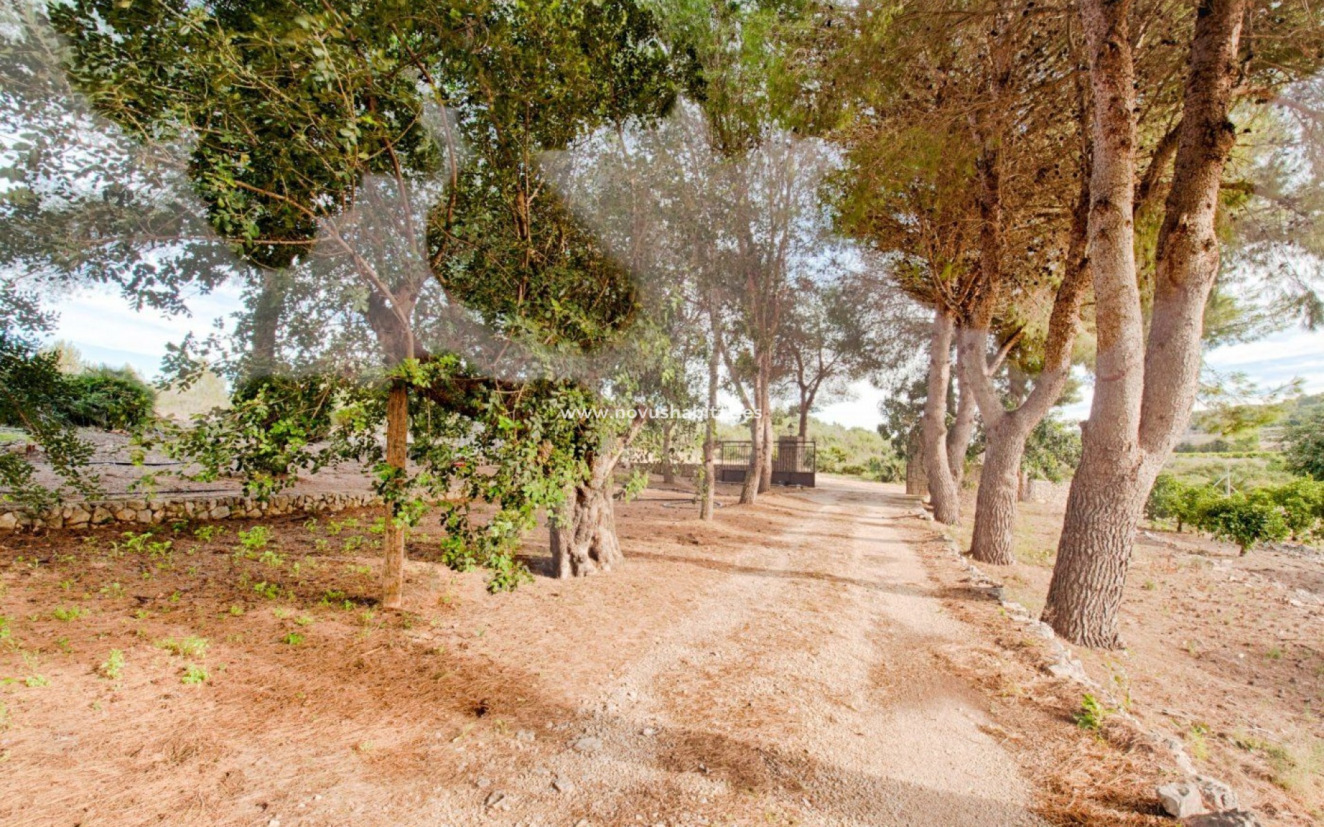 Resale - Plot - Gata de Gorgos