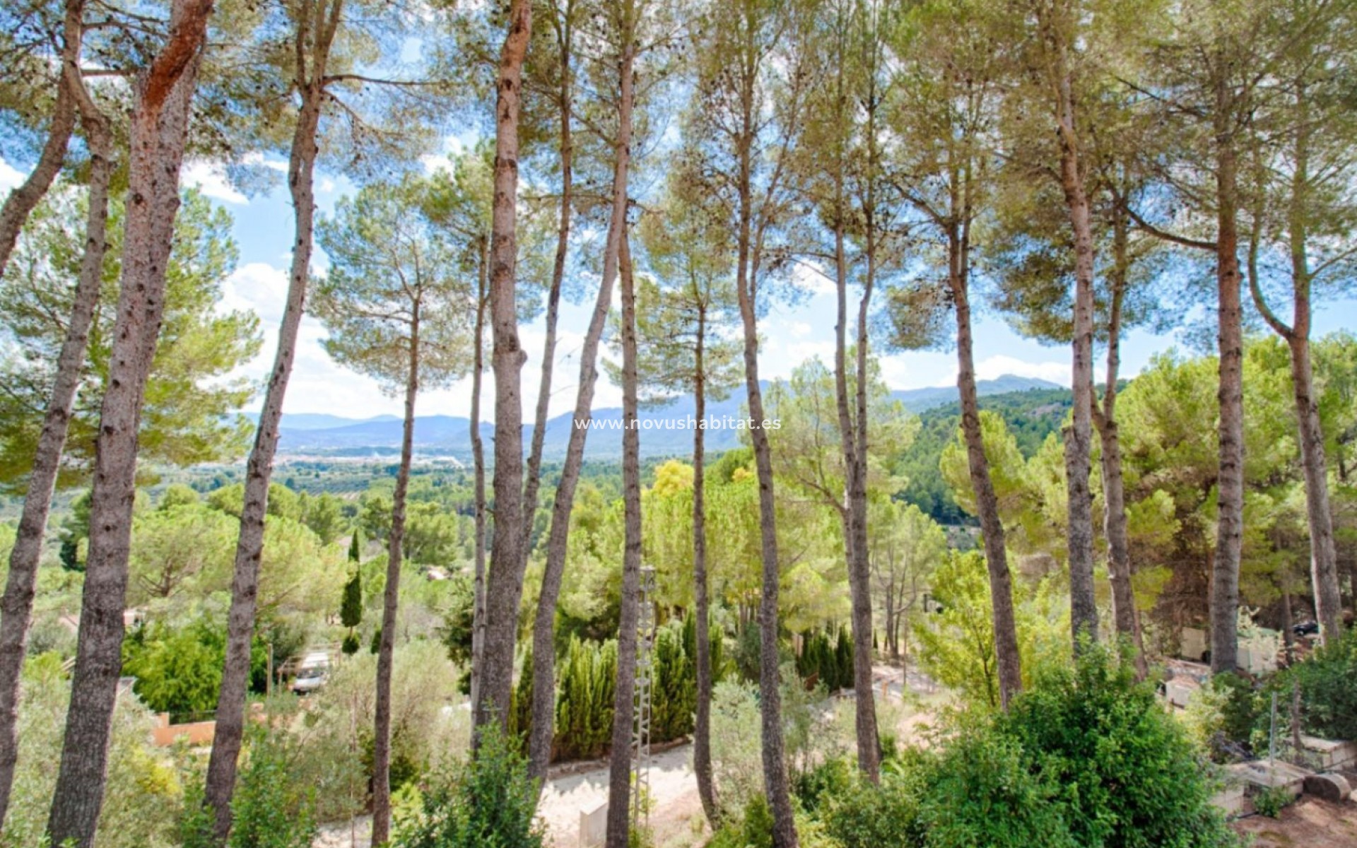 Resale - Plot - Muro d'Alcoi - Turballos