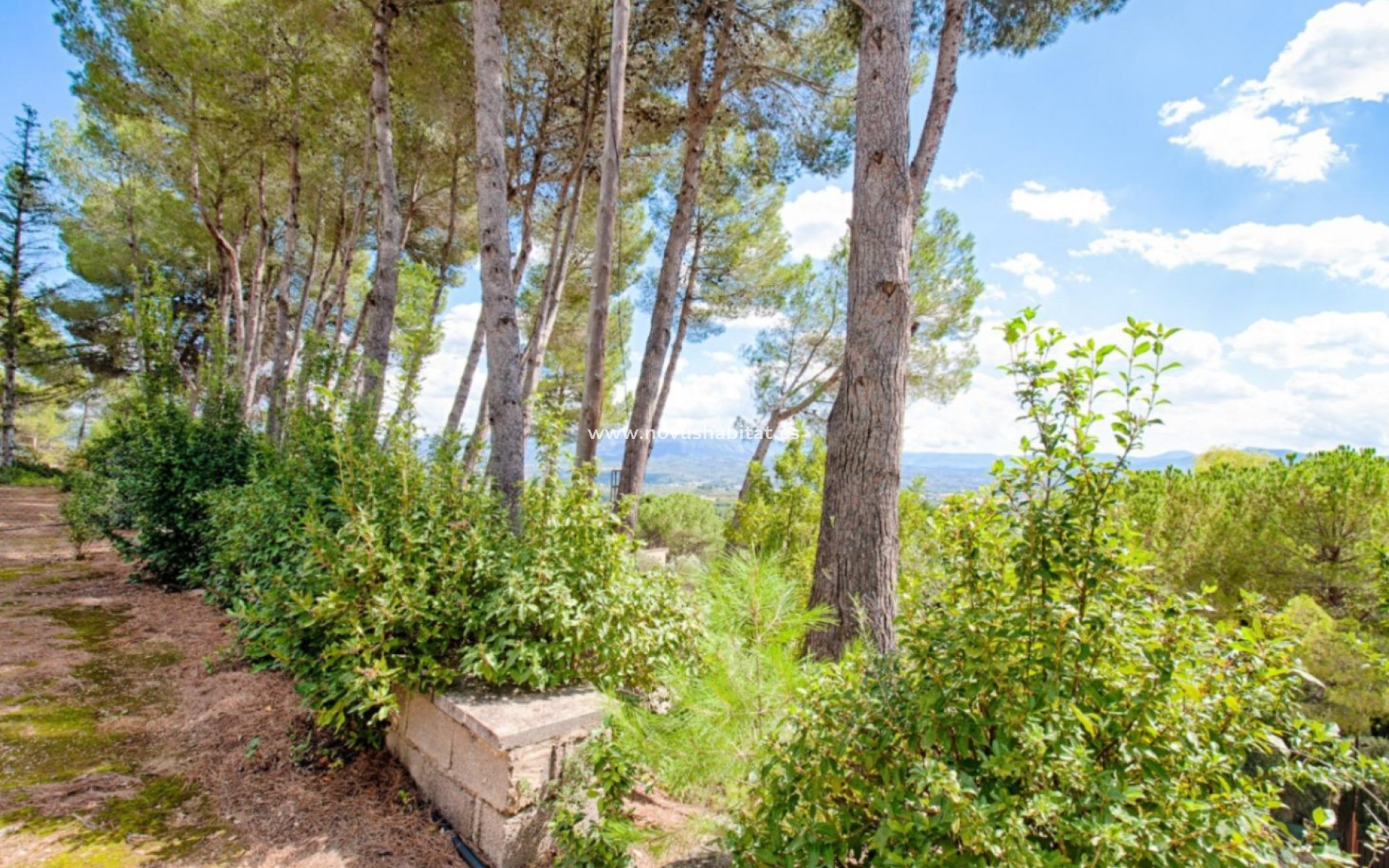 Resale - Plot - Muro d'Alcoi - Turballos