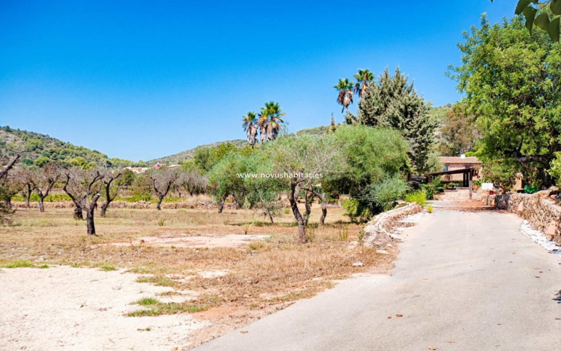 Resale - Plot - Senija - Campo