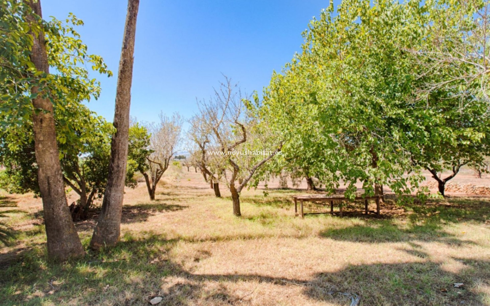 Resale - Plot - Senija - Campo