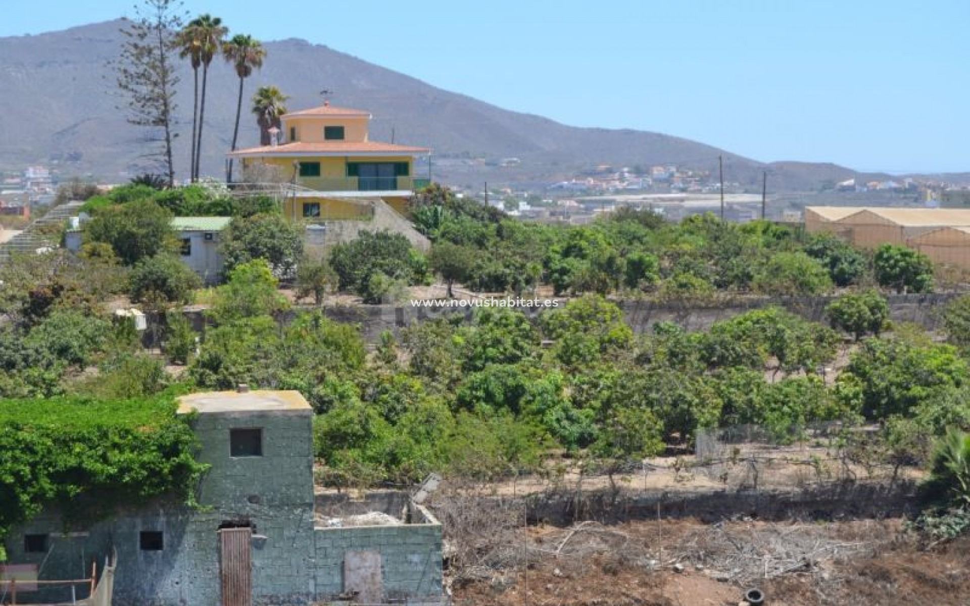 Resale - Villa - Buzanada - Buzanada Tenerife