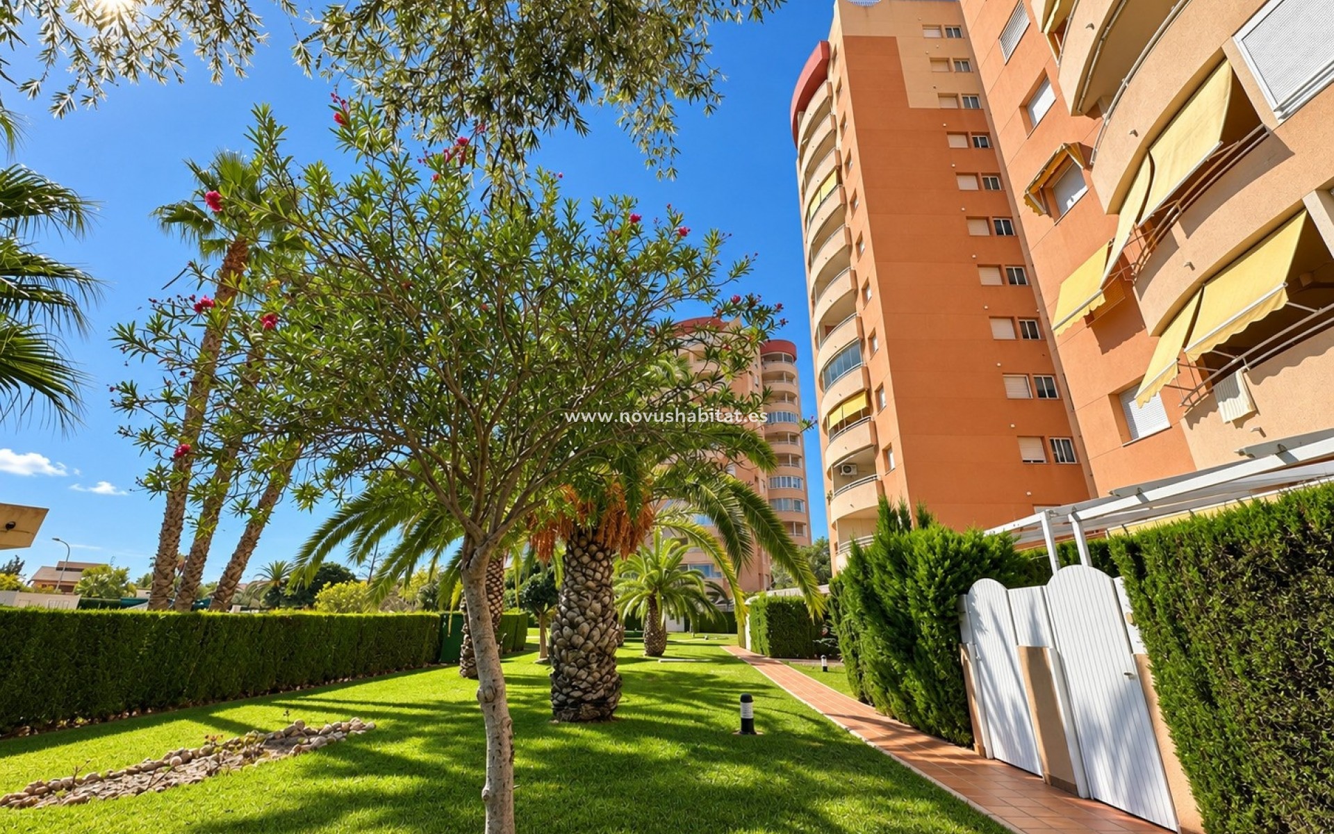 Revente - Apartment / Duplex - Orihuela Costa - Campoamor