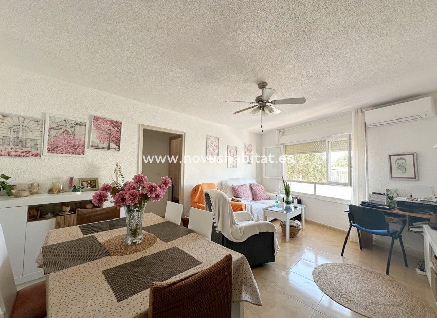 Revente - Apartment / Duplex - Torrevieja - Playa de los Naufragos