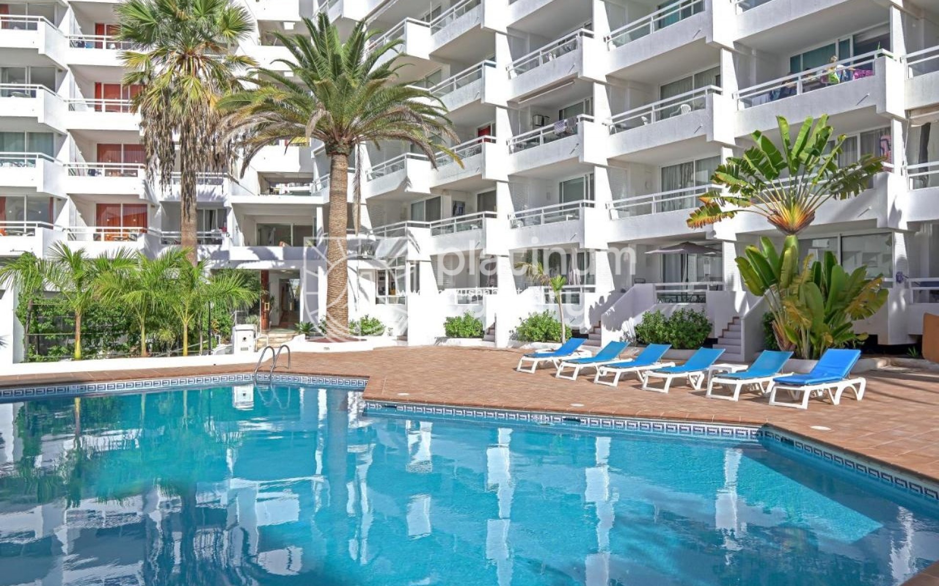 Revente -  Appartement - Adeje - Santa Cruz Tenerife