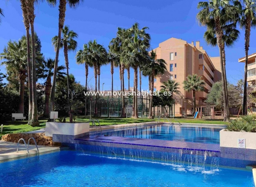 Revente -  Appartement - Albir