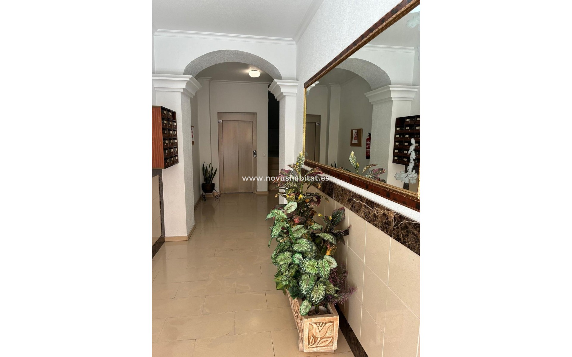 Revente -  Appartement - Almoradí