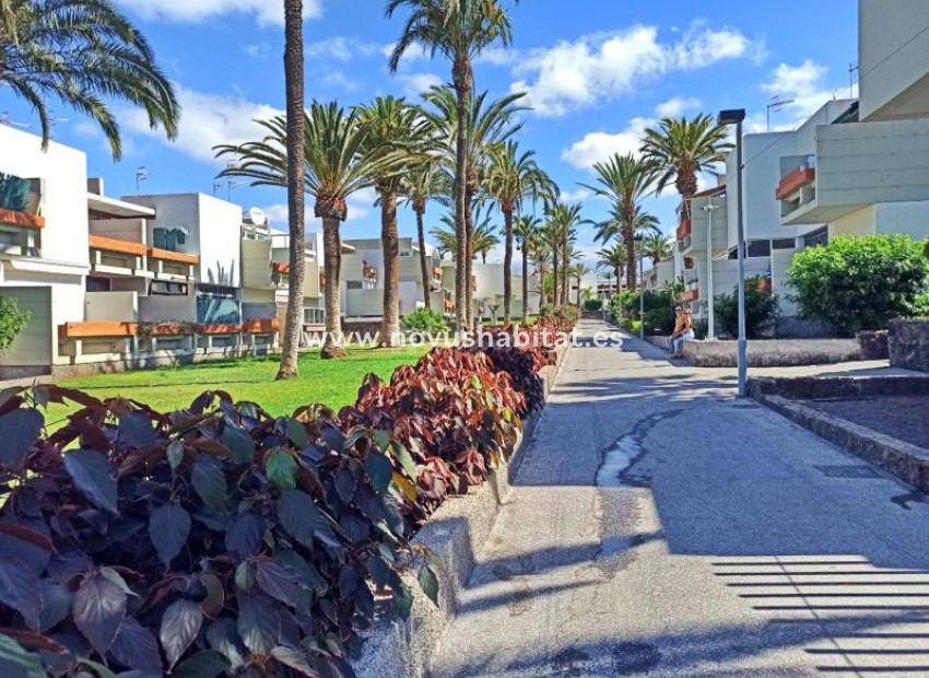 Revente -  Appartement - Costa Del Silencio - Primavera Costa Del Silencio Tenerife