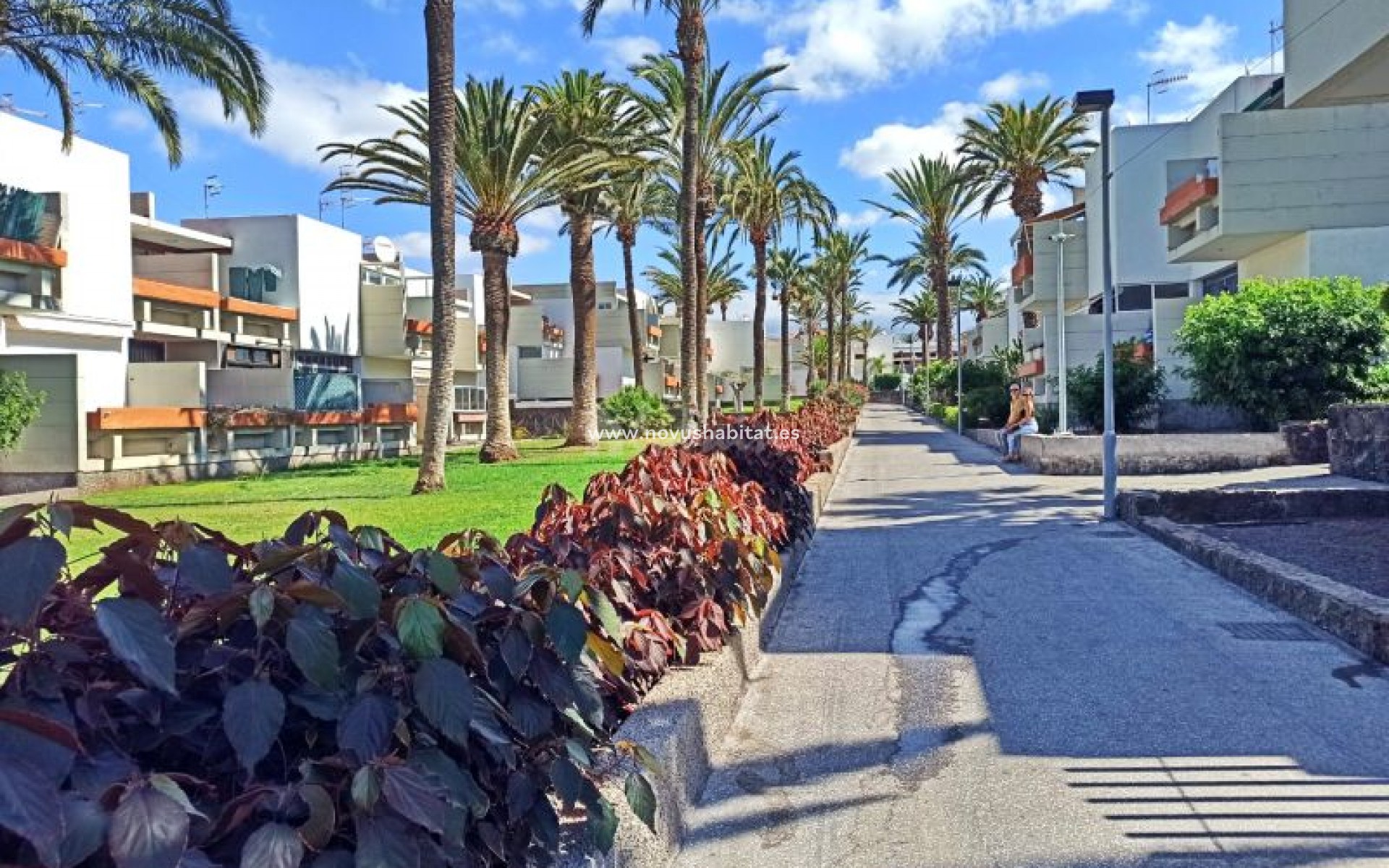 Revente -  Appartement - Costa Del Silencio - Primavera Costa Del Silencio Tenerife