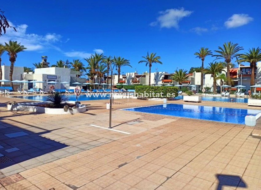 Revente -  Appartement - Costa Del Silencio - Primavera Costa Del Silencio Tenerife