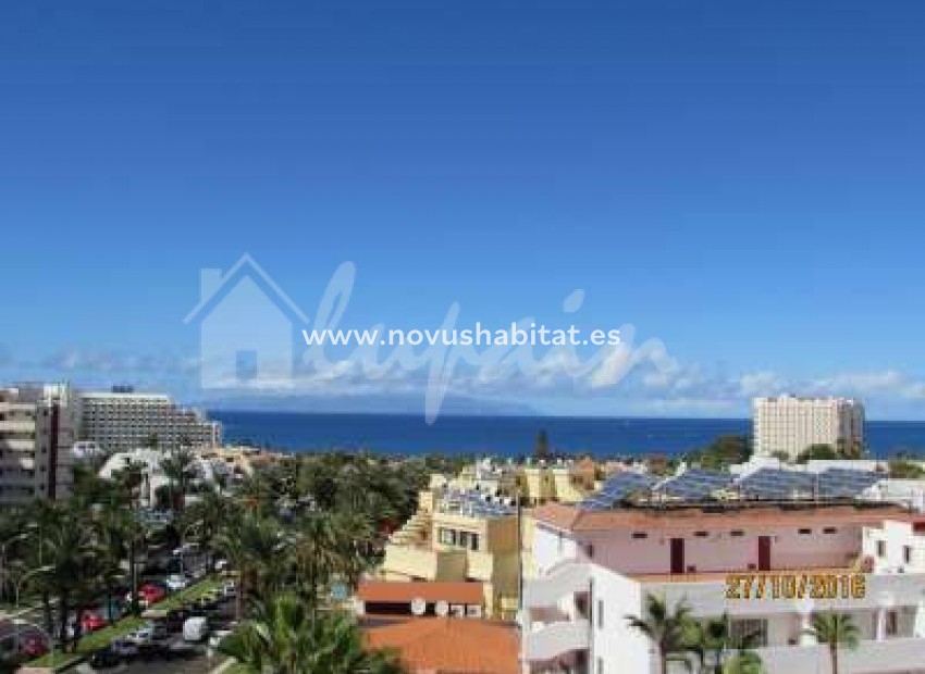 Revente -  Appartement - Playa De Las Americas - Los Tajinastes Las Americas Tenerife