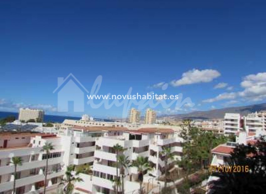 Revente -  Appartement - Playa De Las Americas - Los Tajinastes Las Americas Tenerife