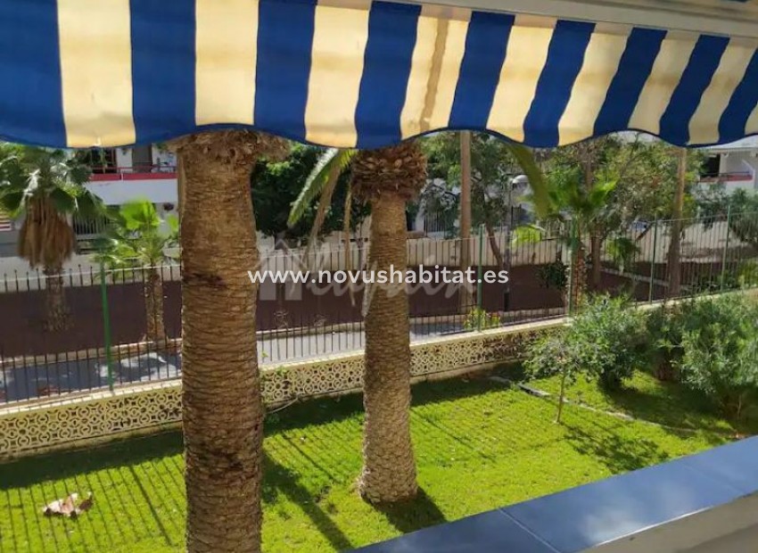 Revente -  Appartement - Playa De Las Americas - Playa Honda Las Americas Tenerife