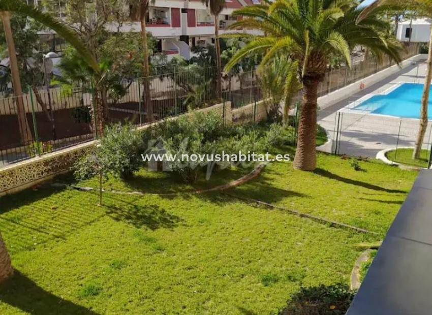 Revente -  Appartement - Playa De Las Americas - Playa Honda Las Americas Tenerife