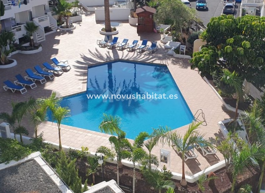 Revente -  Appartement - Playa De Las Americas - Ponderosa Las Americas Tenerife