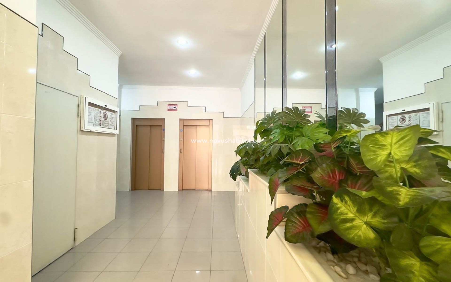 Revente -  Appartement - Torrevieja - Parque de las Naciones