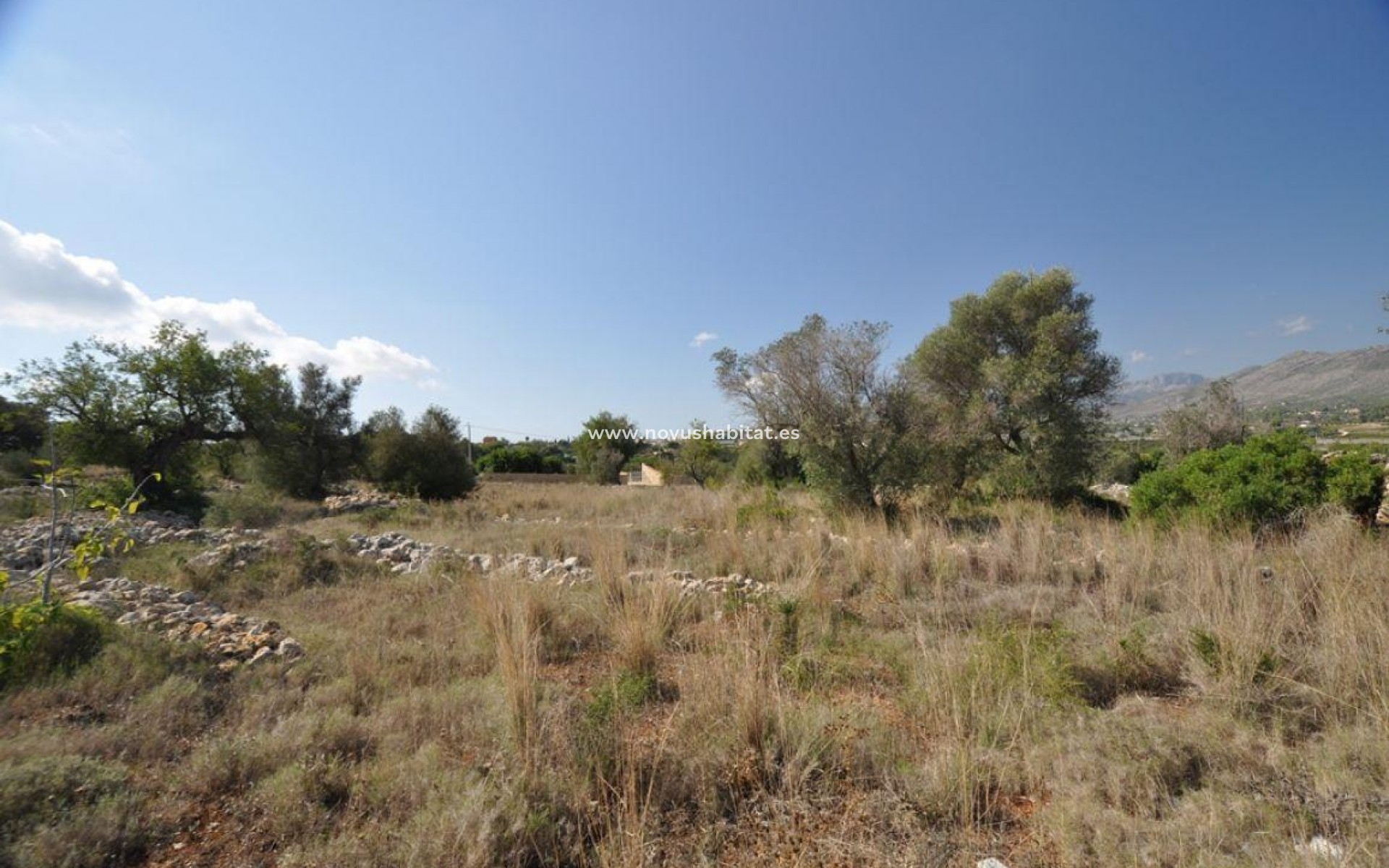 Revente - Colis - Benissa