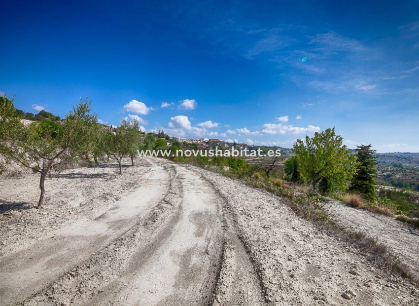 Revente - Colis - Benissa