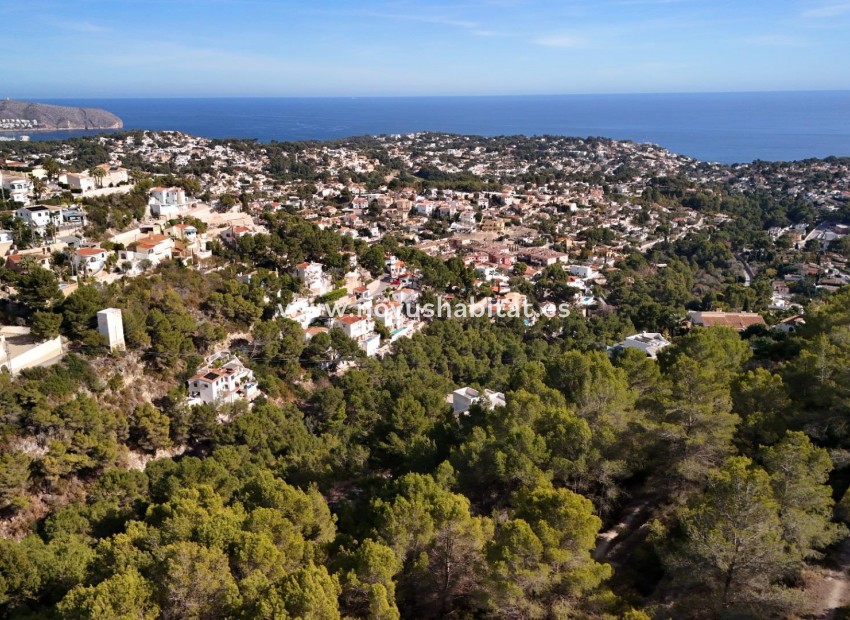 Revente - Colis - Benissa