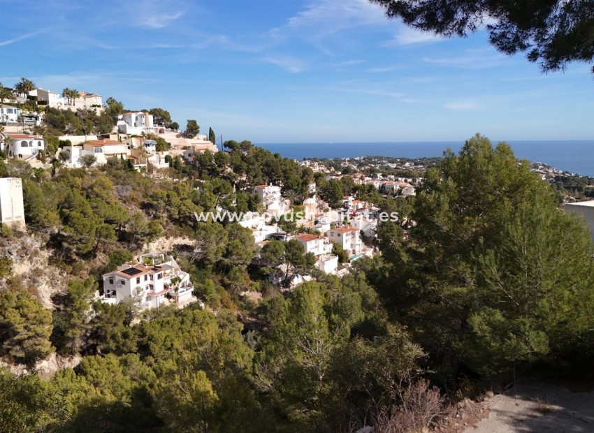 Revente - Colis - Benissa