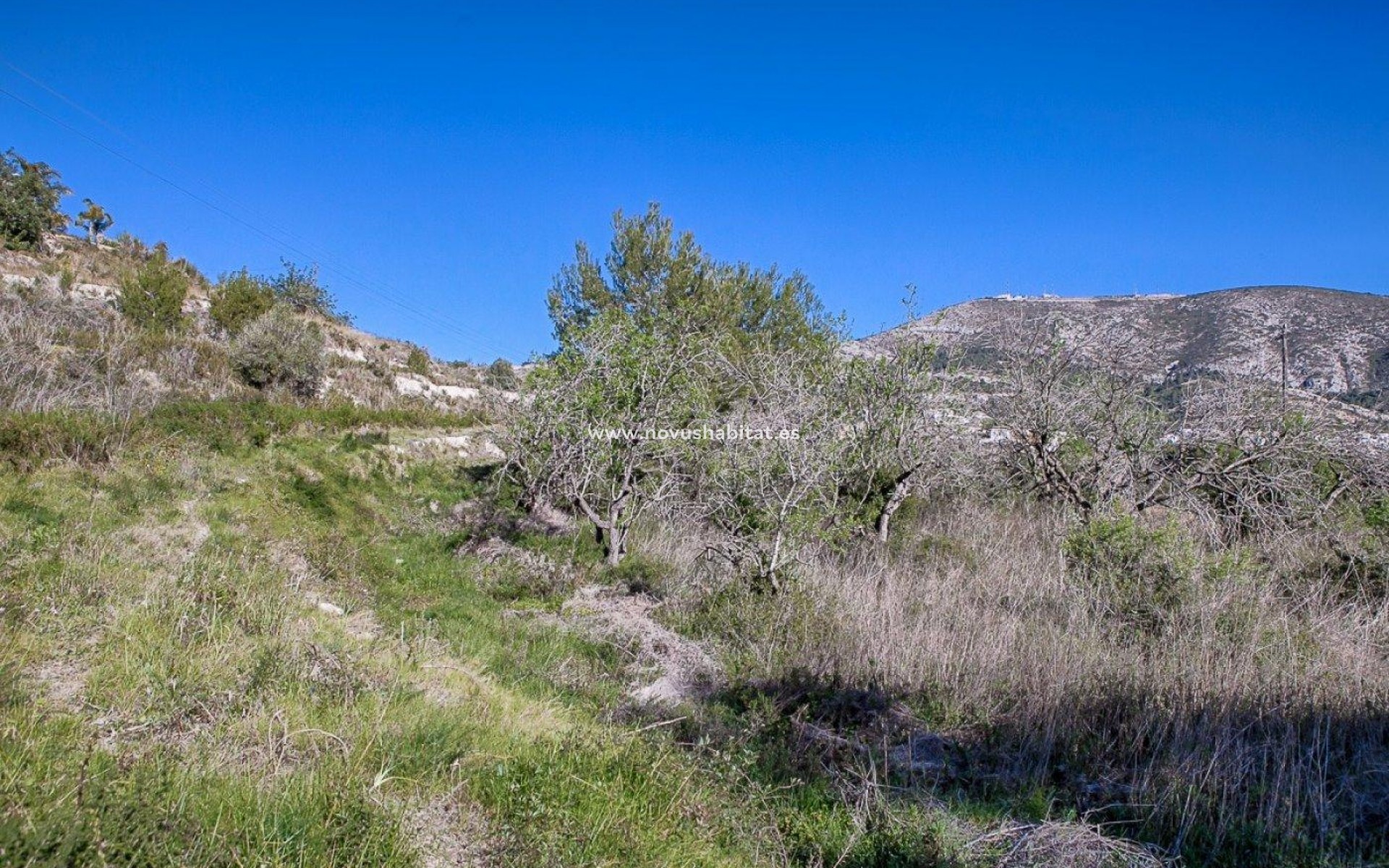 Revente - Colis - Benitachell