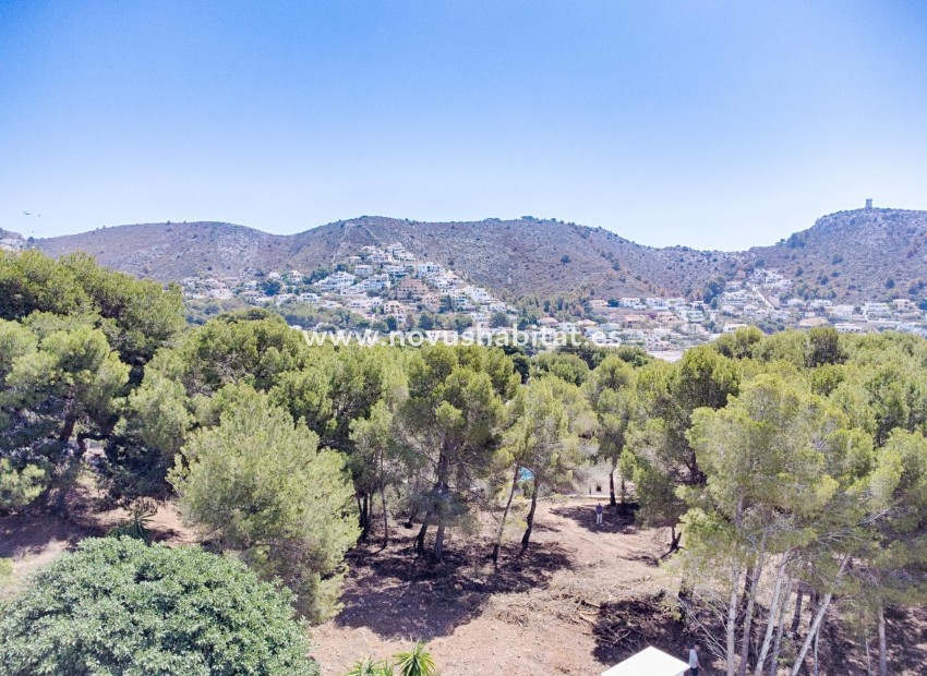 Revente - Colis - Moraira
