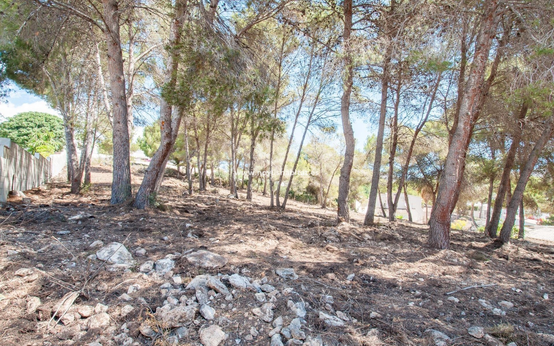 Revente - Colis - Moraira