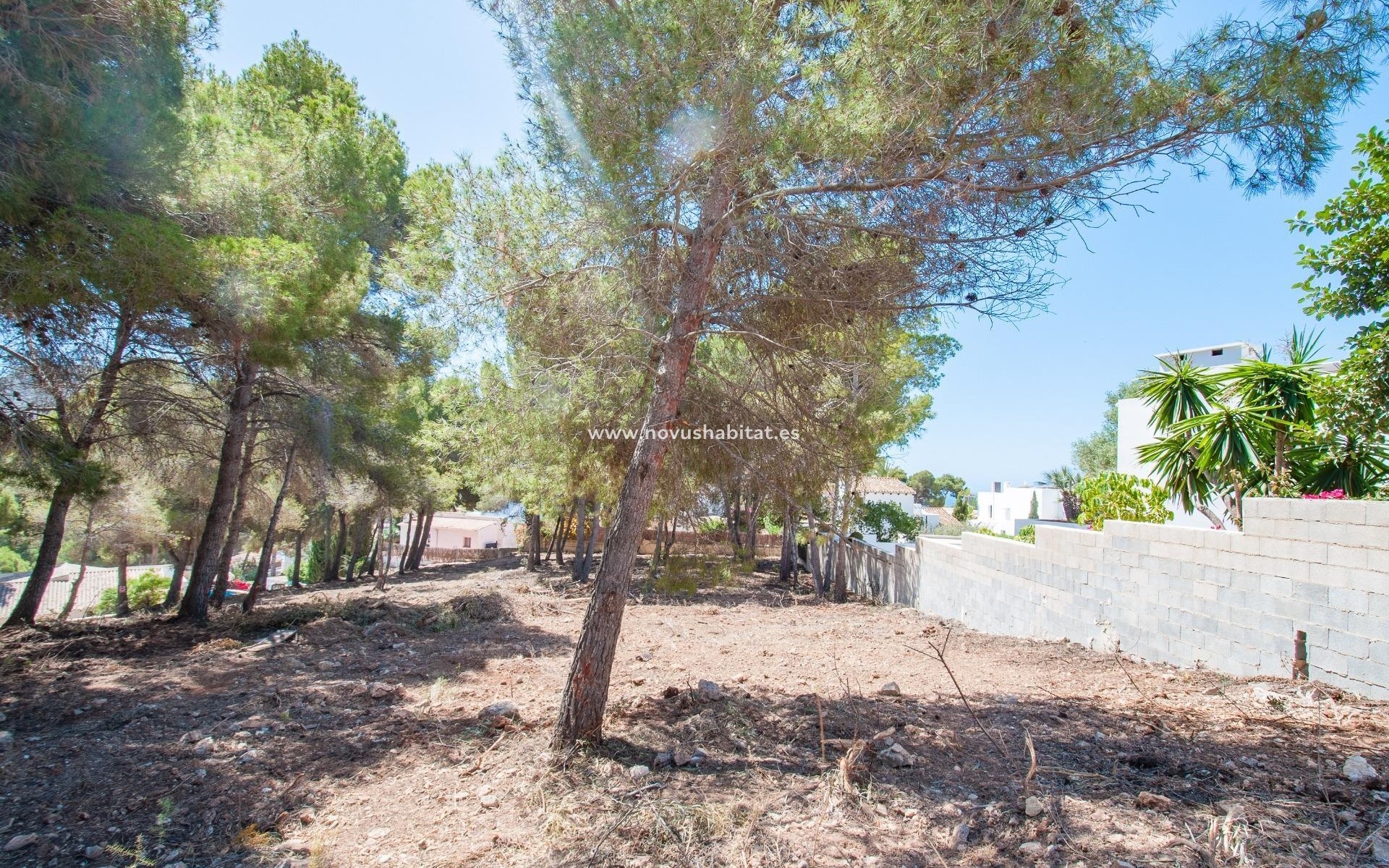 Revente - Colis - Moraira